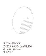 Z4205